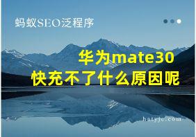 华为mate30快充不了什么原因呢