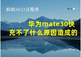 华为mate30快充不了什么原因造成的