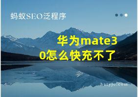 华为mate30怎么快充不了