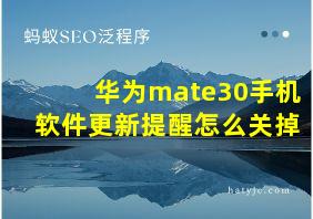 华为mate30手机软件更新提醒怎么关掉