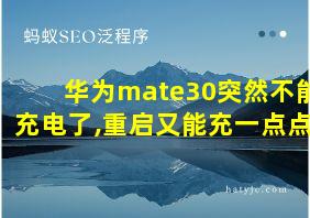 华为mate30突然不能充电了,重启又能充一点点