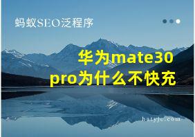 华为mate30pro为什么不快充