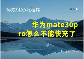 华为mate30pro怎么不能快充了