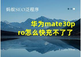 华为mate30pro怎么快充不了了