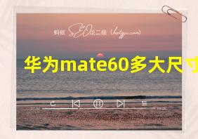 华为mate60多大尺寸