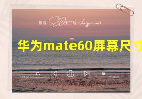 华为mate60屏幕尺寸