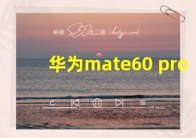 华为mate60 pro