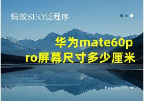 华为mate60pro屏幕尺寸多少厘米