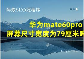 华为mate60pro屏幕尺寸宽度为79厘米吗