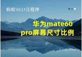 华为mate60pro屏幕尺寸比例