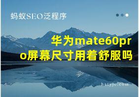 华为mate60pro屏幕尺寸用着舒服吗