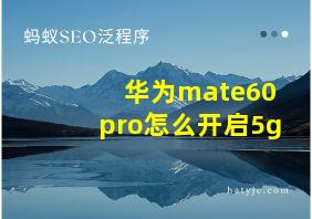 华为mate60pro怎么开启5g