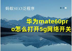 华为mate60pro怎么打开5g网络开关