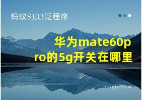 华为mate60pro的5g开关在哪里