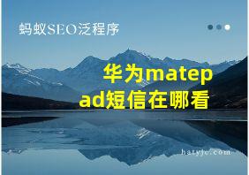 华为matepad短信在哪看