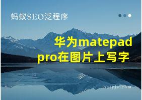 华为matepad pro在图片上写字