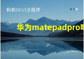 华为matepadpro吧