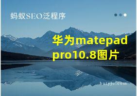 华为matepadpro10.8图片