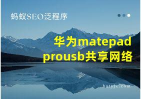 华为matepadprousb共享网络