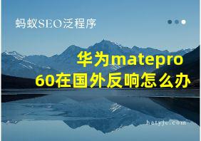 华为matepro60在国外反响怎么办