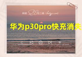 华为p30pro快充消失