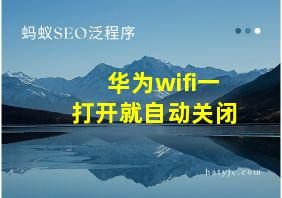 华为wifi一打开就自动关闭