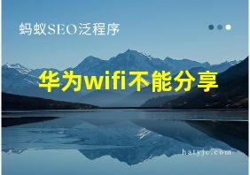 华为wifi不能分享