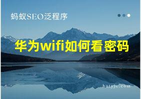 华为wifi如何看密码