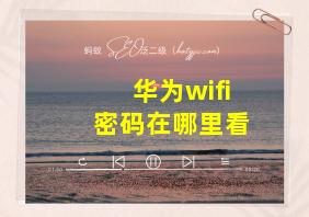 华为wifi密码在哪里看