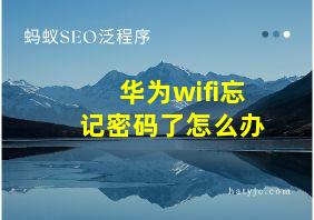 华为wifi忘记密码了怎么办