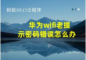 华为wifi老提示密码错误怎么办