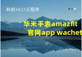 华米手表amazfit官网app wachet