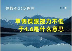 单侧裸眼视力不低于4.6是什么意思