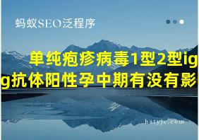 单纯疱疹病毒1型2型igg抗体阳性孕中期有没有影响