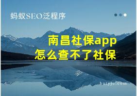 南昌社保app怎么查不了社保