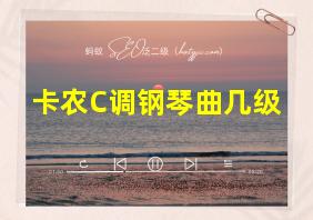 卡农C调钢琴曲几级