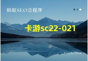 卡游sc22-021