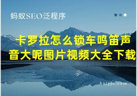 卡罗拉怎么锁车鸣笛声音大呢图片视频大全下载