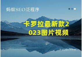 卡罗拉最新款2023图片视频