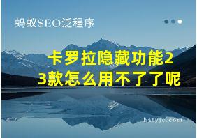 卡罗拉隐藏功能23款怎么用不了了呢