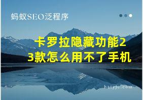 卡罗拉隐藏功能23款怎么用不了手机