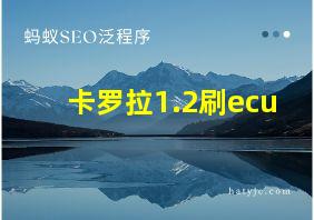 卡罗拉1.2刷ecu