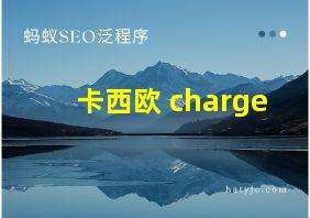 卡西欧 charge