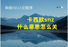 卡西欧snz什么意思怎么关