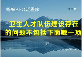 卫生人才队伍建设存在的问题不包括下面哪一项