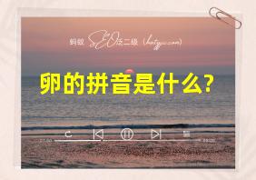 卵的拼音是什么?