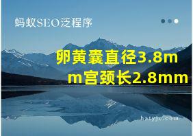 卵黄囊直径3.8mm宫颈长2.8mm