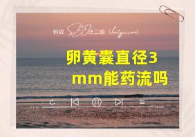 卵黄囊直径3mm能药流吗