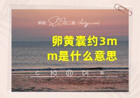 卵黄囊约3mm是什么意思