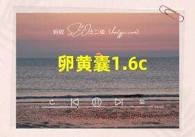 卵黄囊1.6c